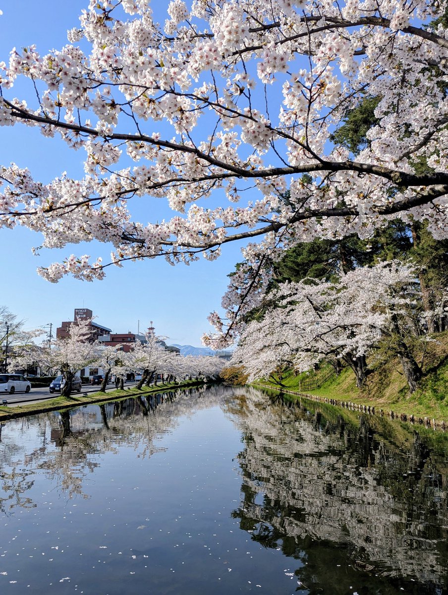 しまざき tweet media