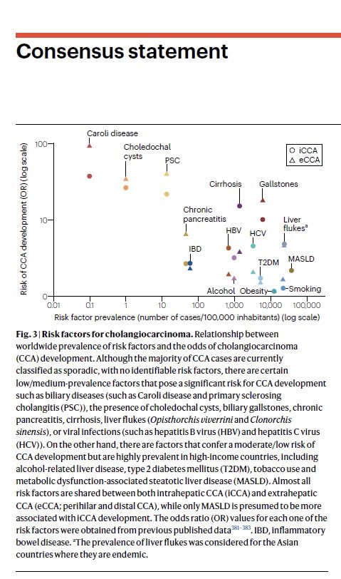 DrAngelaLamarca's tweet image. It was an absolute pleasure to collaborate on this huge effort

To me, is #time to focus not only on better treatment but also #better #diagnosis

🔎Risk factors unclear
‼️Early diagnosis an unmet need

🧮Calculations by 🙋🏻‍♀️+@atuvibi (📸4) earlier diagnosis could #cure more people