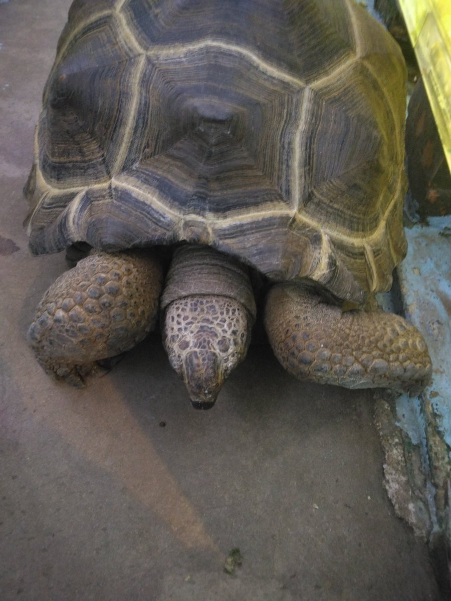 まっきー/末期P（仮）❤️‍🔥🈁⚡ tweet media