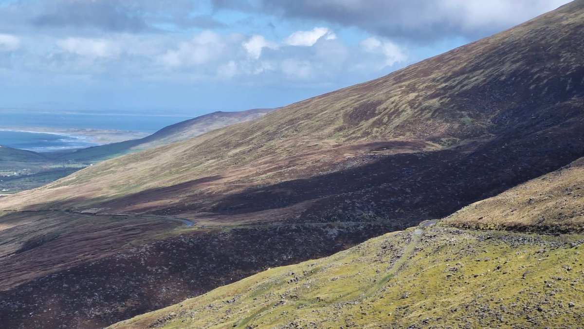 ThisIsIreland3's tweet photo. Sweeping views from the top of Conor Pass, Dingle ๐๏ธโ๏ธ
๐County Kerry-Ireland ๐ฎ๐ช
๐ธ Kerry Experience Tours
#Ireland #Dingle #Kerry #Conorpass #Views https://t.co/rrXDHqcM2Z