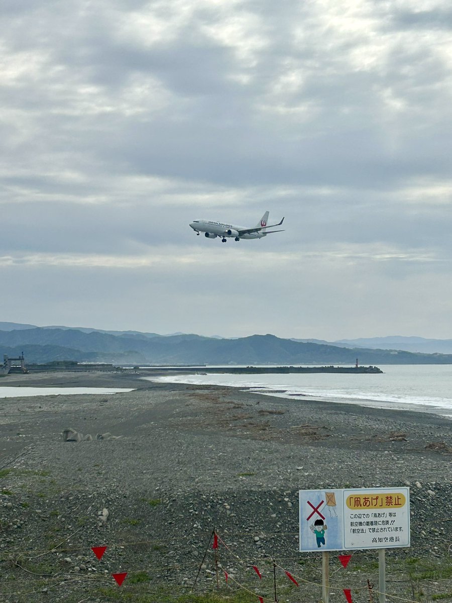 くまる🧸 tweet media