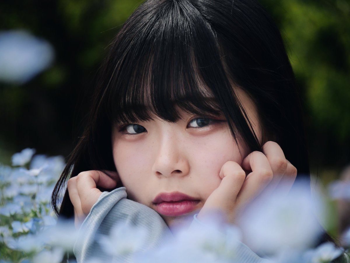 shunkashu_to's tweet image. 𝔻𝕒𝕚𝕟𝕥𝕪◌⑅⃝♡◌*⃝̥◍♡

model:白瀬藍子ちゃん(@siraseaiko)
place:長居植物園
#ポートレート #portrait #ピスタ撮影会
#白瀬藍子 #ネモフィラ