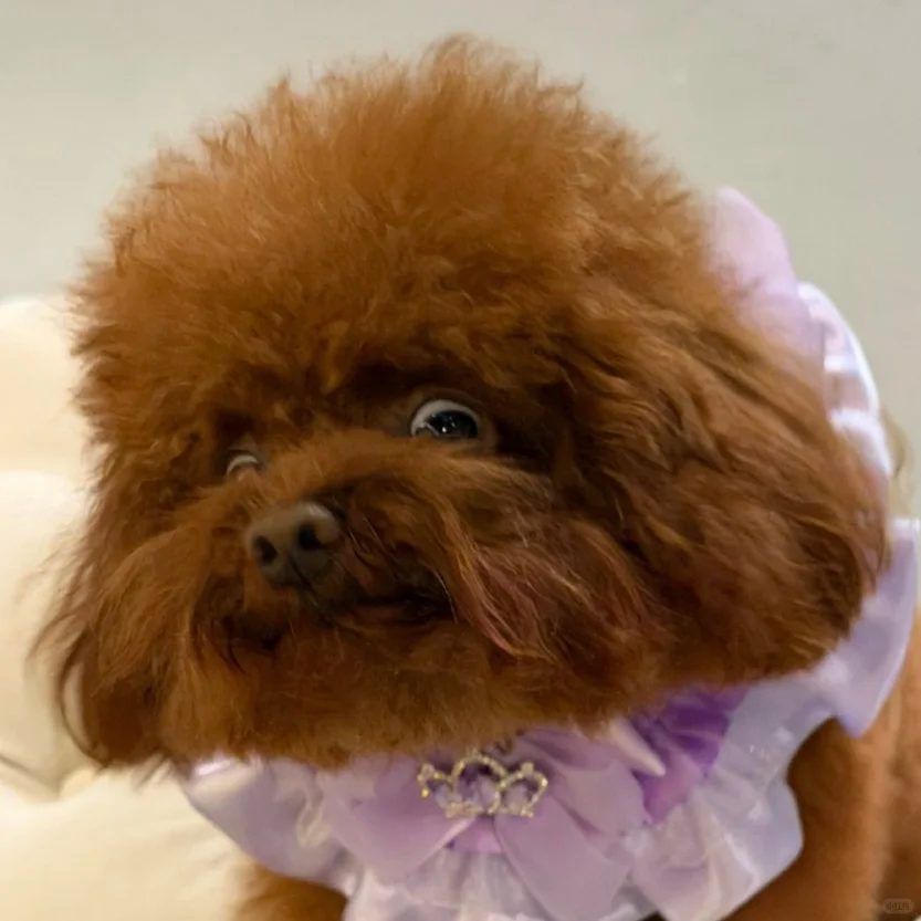 M | AUs 📌 🕶🌸 tweet media