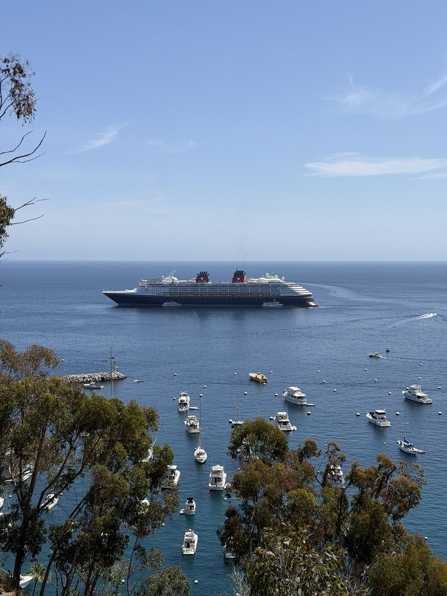 iJorge511's tweet photo. @TheDCLBlog Disney Wonder at anchor offshore from Avalon, Catalina Island. https://t.co/6n64LqMgGi