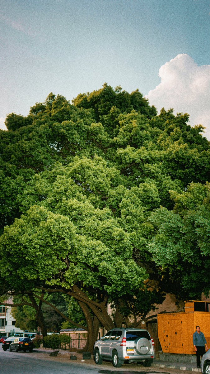 يامن tweet media