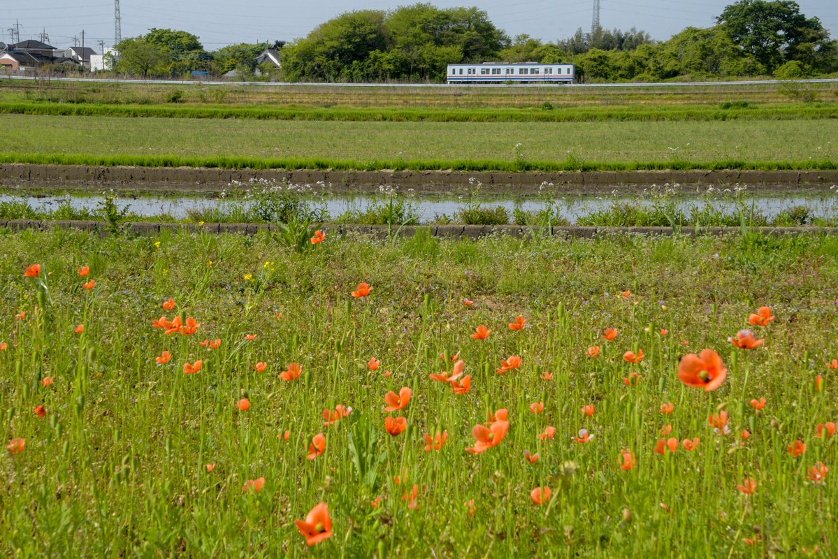 HEROMO🇺🇦(線路際蹲人・鉄模人) tweet media