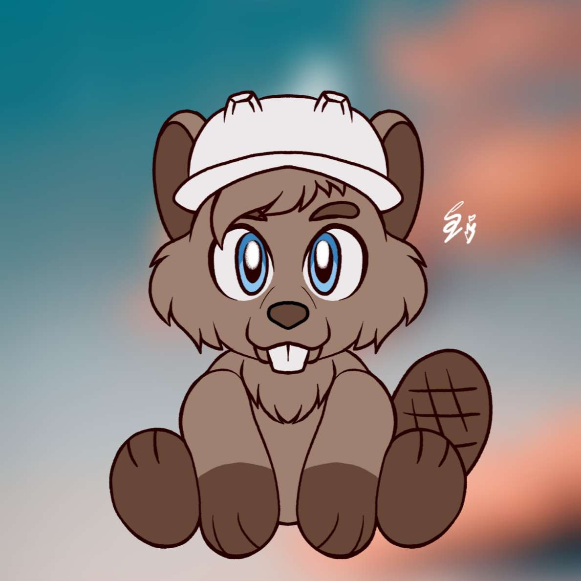 CastorWheels tweet media