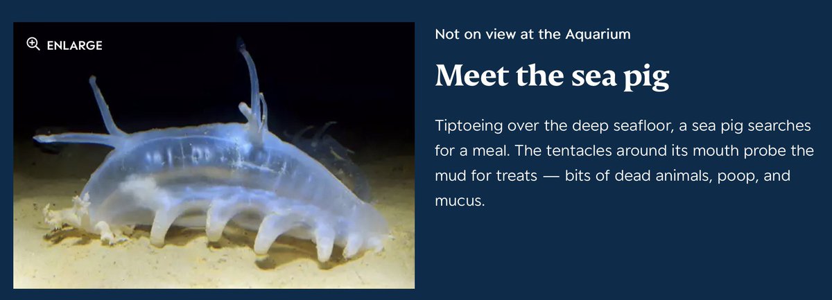 nya⚓️ tweet media