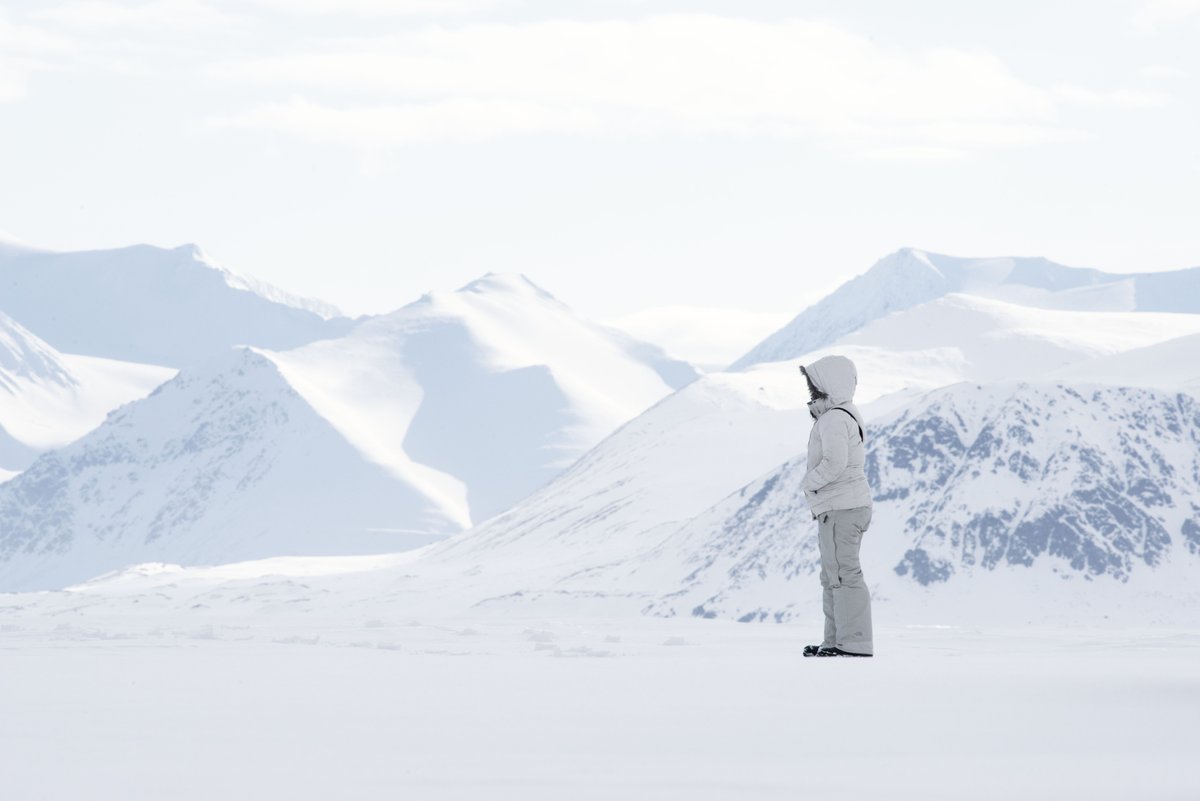 Arctic Kingdom tweet media