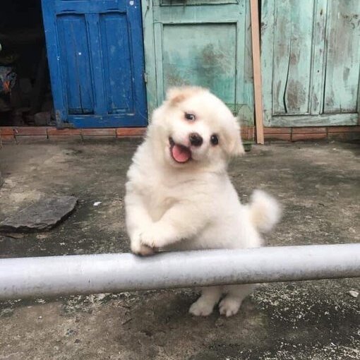 김제리 ੯‧̀͡u\🐾 tweet media