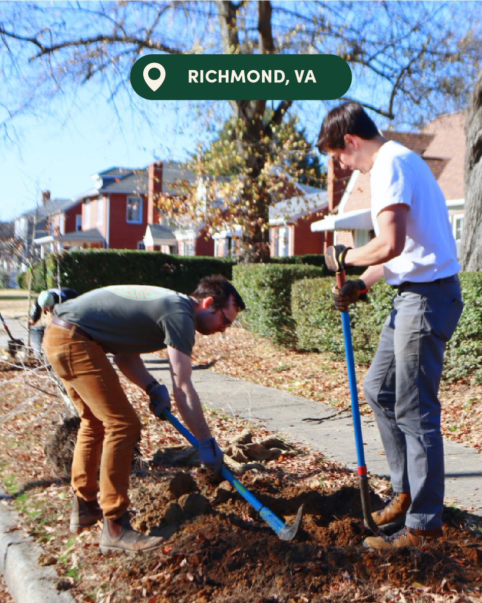 Arbor Day Foundation tweet media