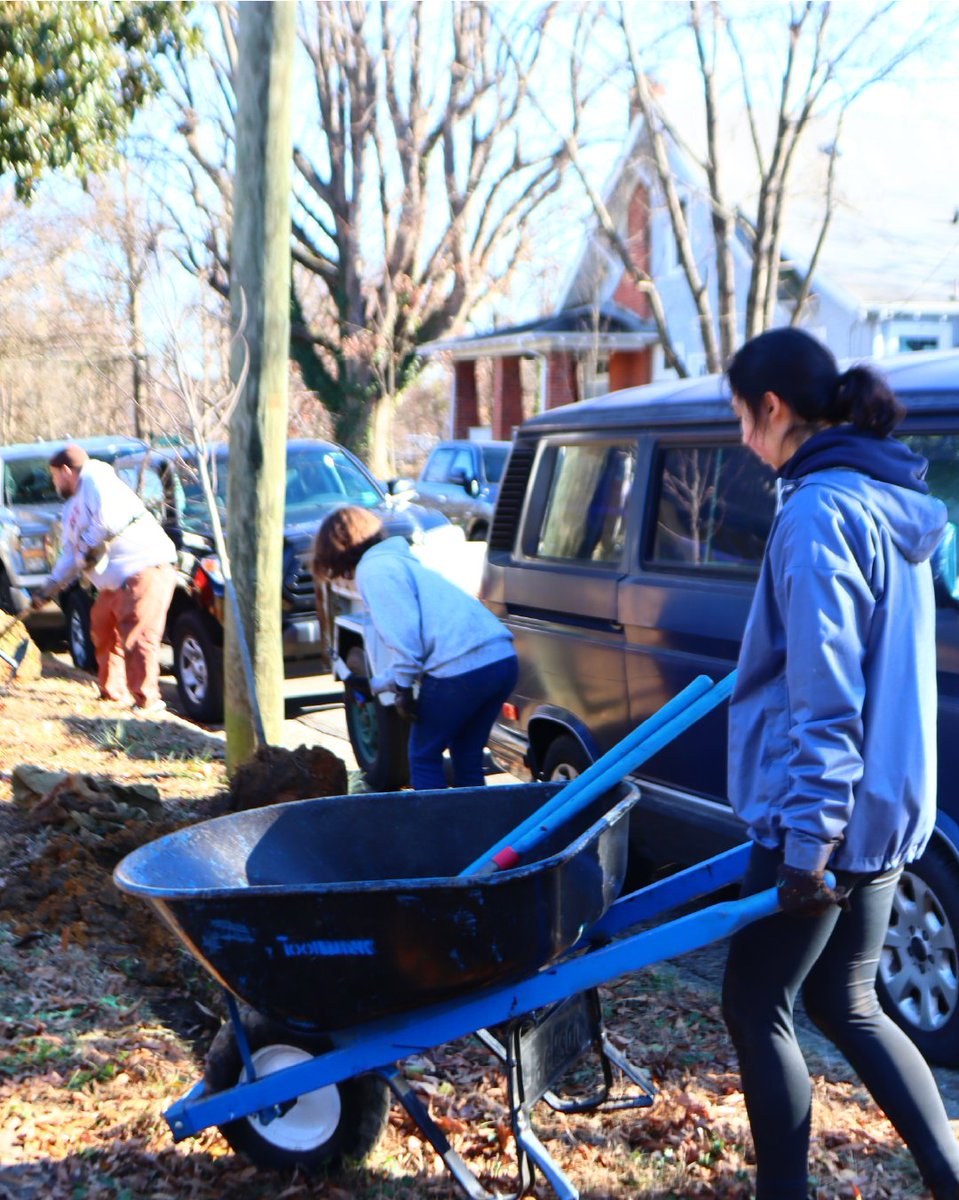 Arbor Day Foundation tweet media