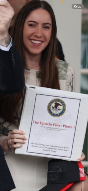 Anil Zeks tweet media