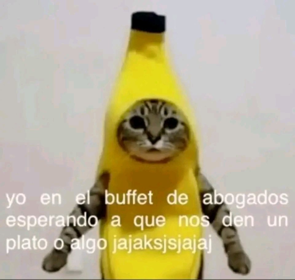 ଼ ͡*ᅟ⻬⎯ᅟ𝑱𝐀𝐏𝐀𝐍、𝓼ᅟᥫ𝙃𝙊𝙎𝙀ᅟ꩜𝙉𝙀 ˖ tweet media