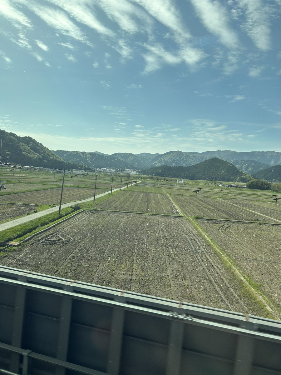 りさ🍋 tweet media