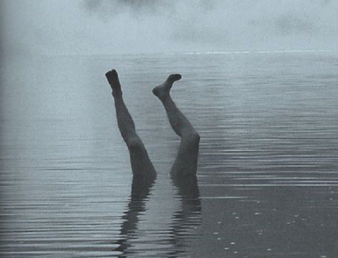 ギルボン tweet media