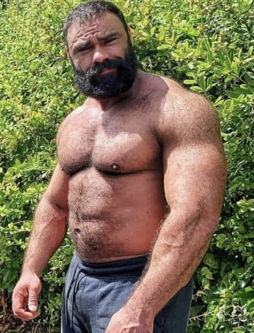 musclebearhub's tweet photo. What do you call this type of man? 👀😜👇
#MuscleBear #GayMuscle https://t.co/Ny9W8RYLhP