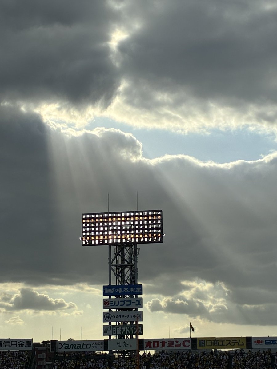 🐯Nahorunrun🐯充電完了 tweet media