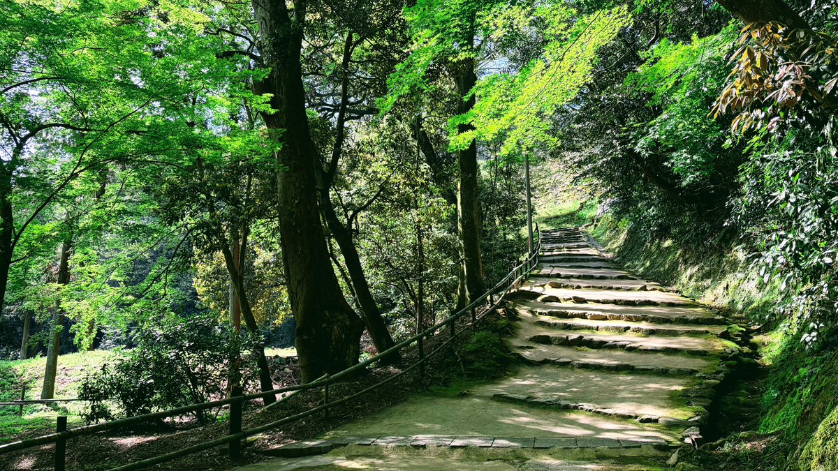 鳥脳(ニータソ) tweet media