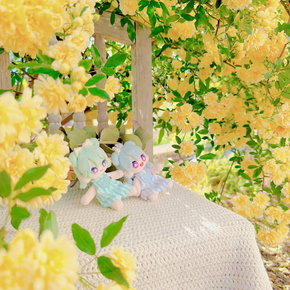 みい💜🐻🐰🐱 tweet media