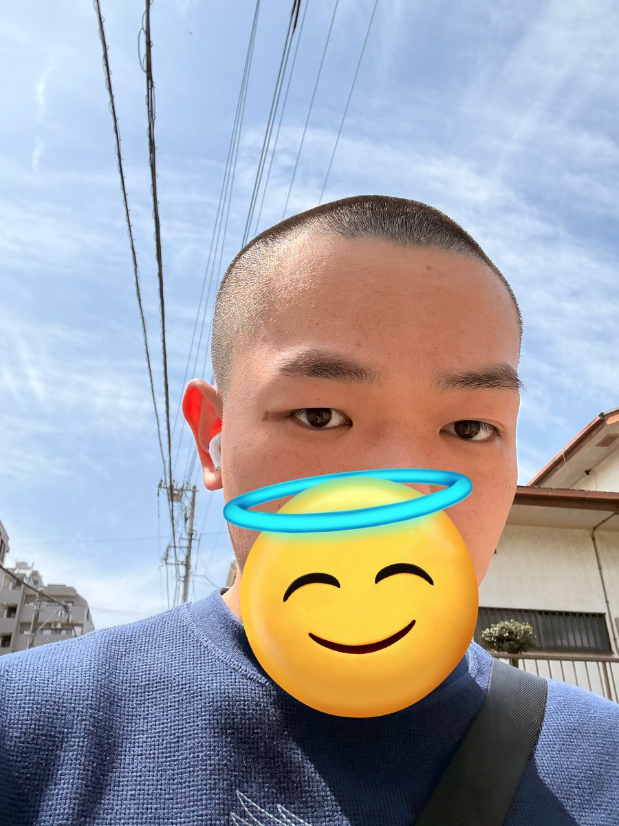 だい tweet media