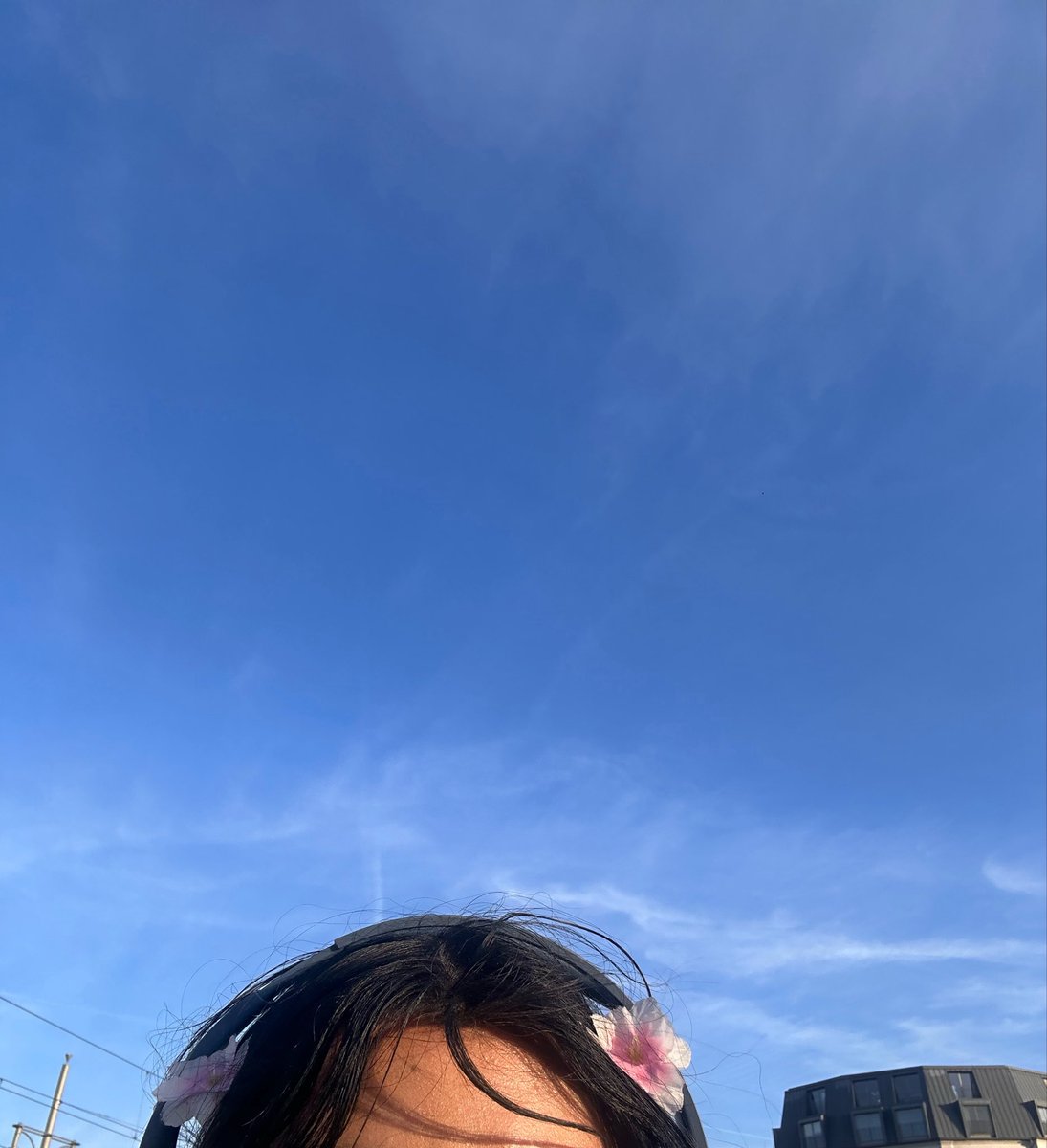 kitten 🐾 tweet media