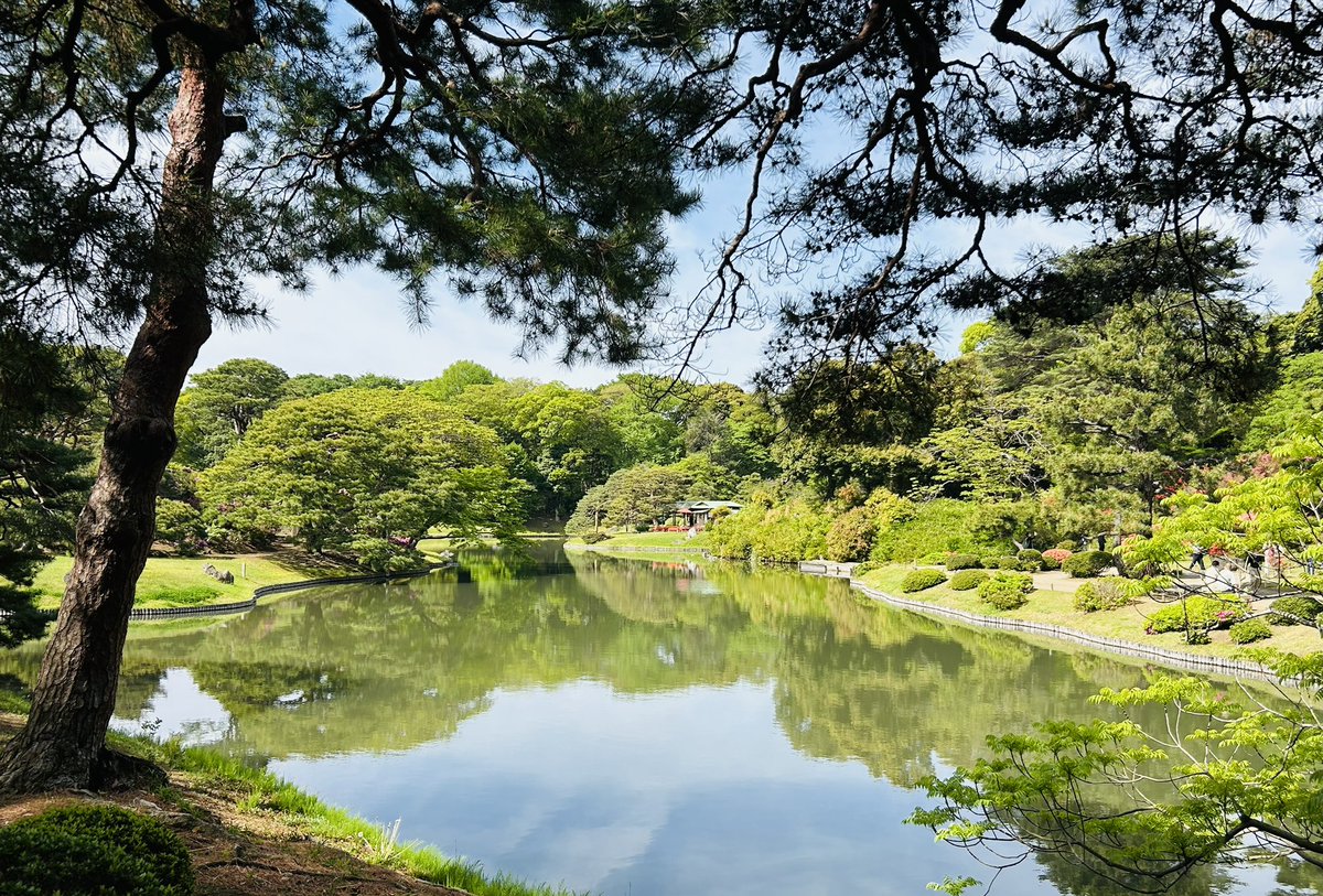 wizard_jy's tweet photo. 六義園、とても良い季節です。 https://t.co/UAvBd7jqHz
