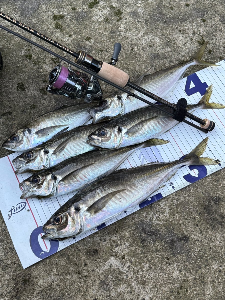 ゆー（cocoa） tweet media