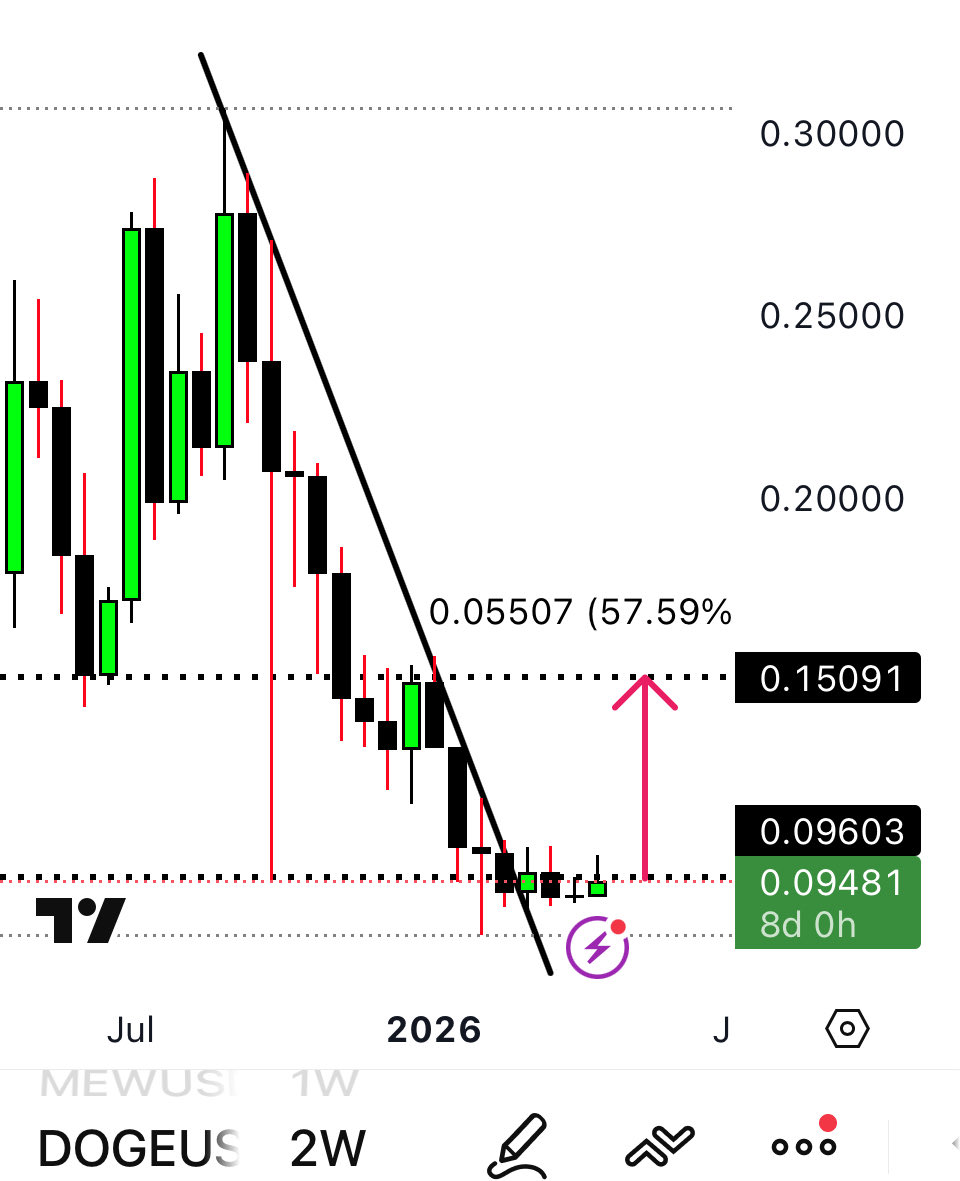 ⭐RᗩᖴᗩEᒪᗩ 𝗥𝗜𝗚𝗢 ⭐ tweet media