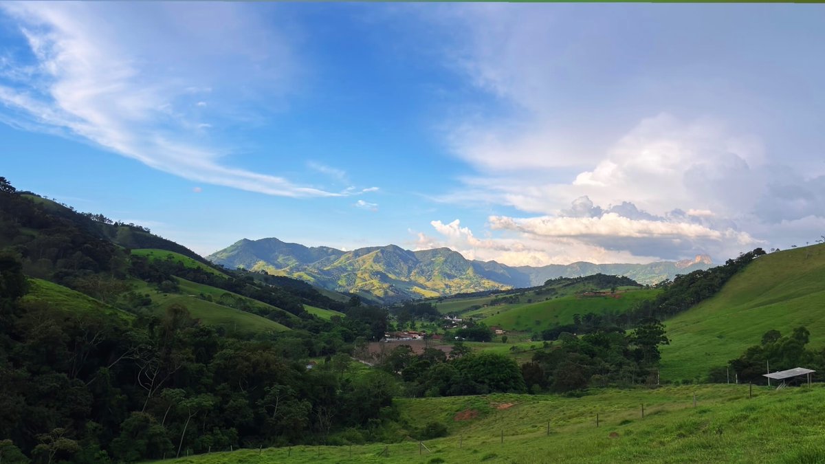 Dani | Filmmaker tweet media