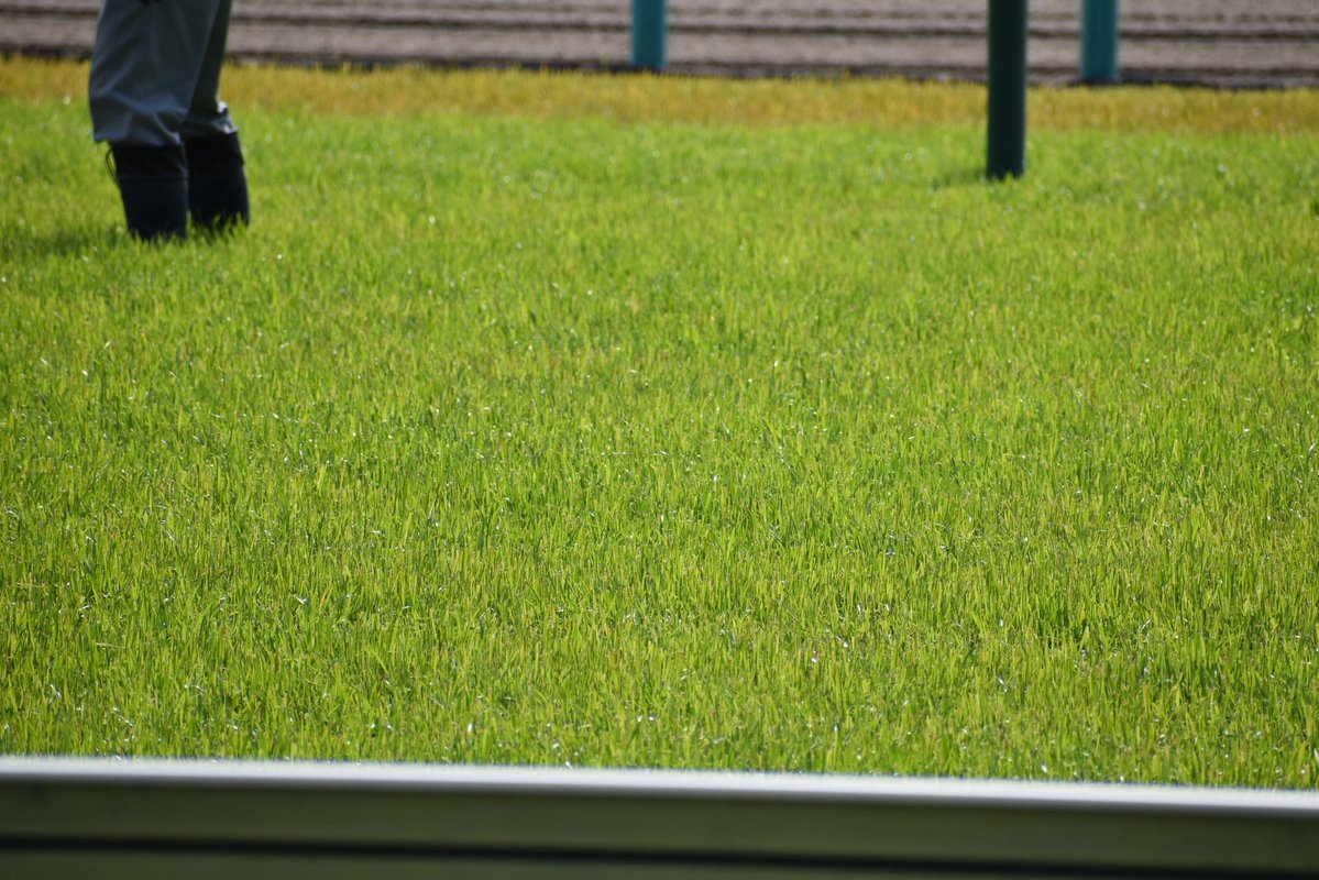 𝐊𝐎𝐍𝐓𝐄𝐍𝐀🐎𝐂𝐫◉𝐢𝐱_𝐝𝐮_𝐍◉𝐫𝐝 tweet media