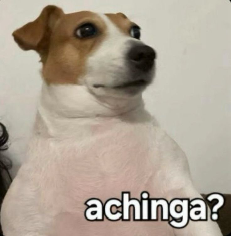 la virgen de guadalupe tweet media