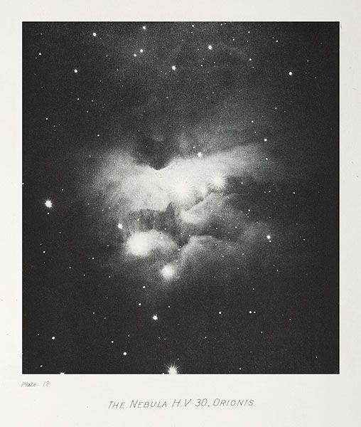 suturamiel's tweet image. #stargirl come home 𔓕♡𝅦 𔓕♡𝅦 𔓕♡𝅦