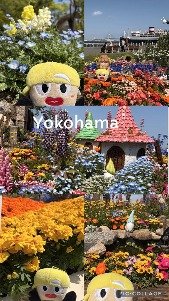 れなち🌈💛 tweet media