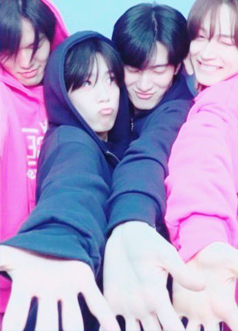 サバイバルおトキっち tweet media