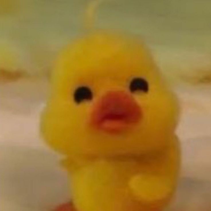 little 𝝑𝑒 peem tweet media