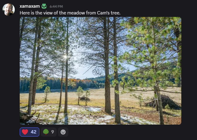 FiresideCasts's tweet photo. We hit the goal early today, but job's not done yet for Cam's Cup. Tune in tomorrow same time. You know the schedule! Same time same place, https://t.co/TDMUKzCy9r.  

Here's a message from Cambonieboo's father. https://t.co/XGKvugupL2