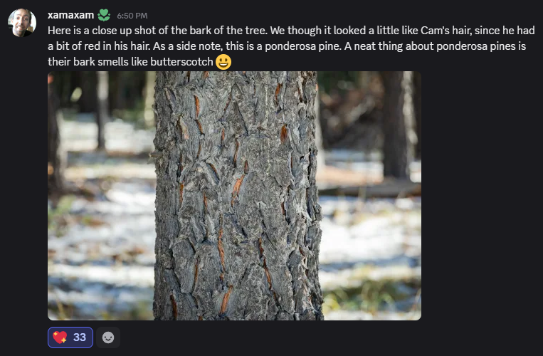 FiresideCasts's tweet photo. We hit the goal early today, but job's not done yet for Cam's Cup. Tune in tomorrow same time. You know the schedule! Same time same place, https://t.co/TDMUKzCy9r.  

Here's a message from Cambonieboo's father. https://t.co/XGKvugupL2