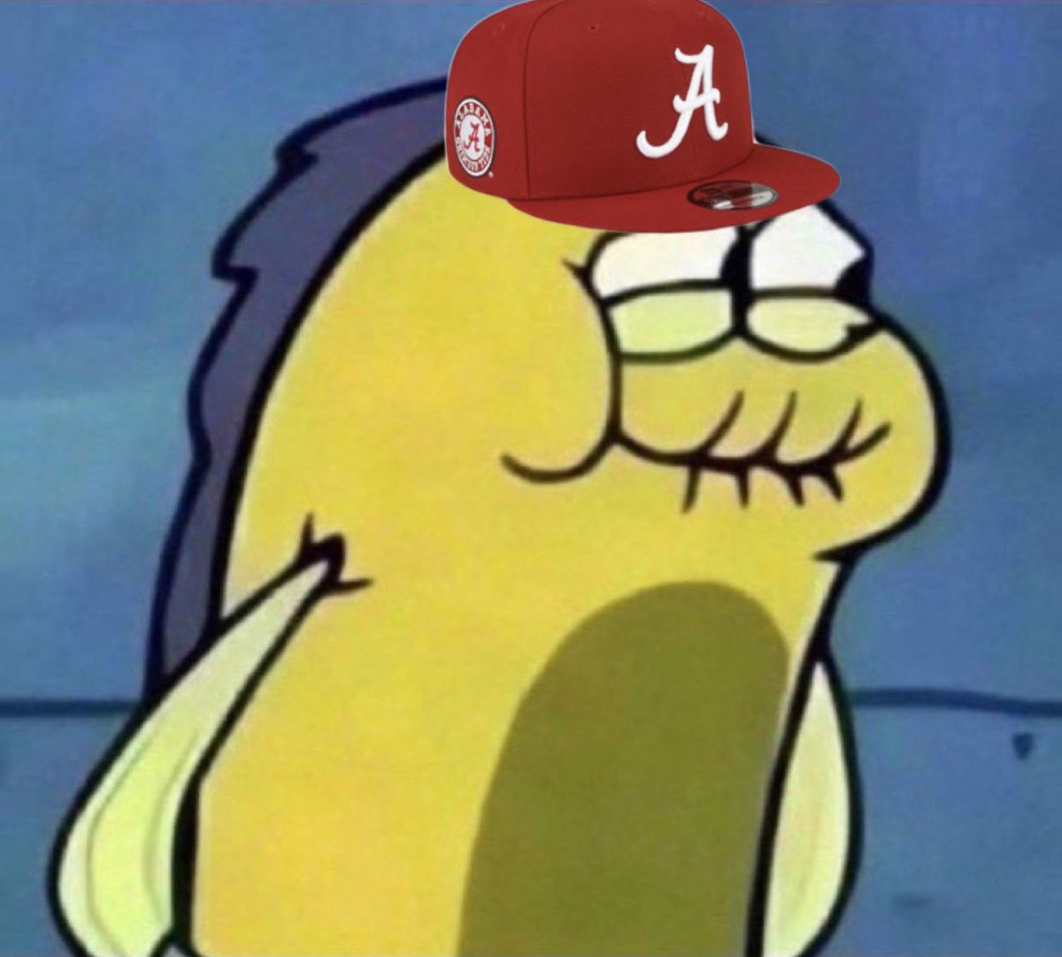 brandon chicken’s burner tweet media