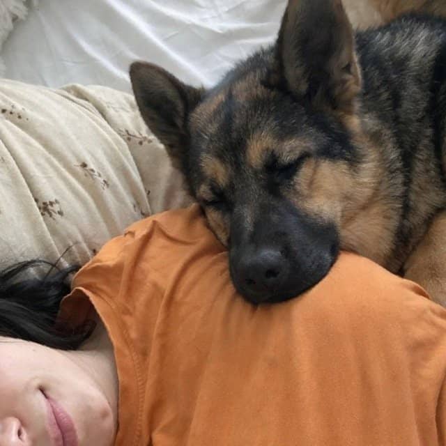 dogknotting tweet media