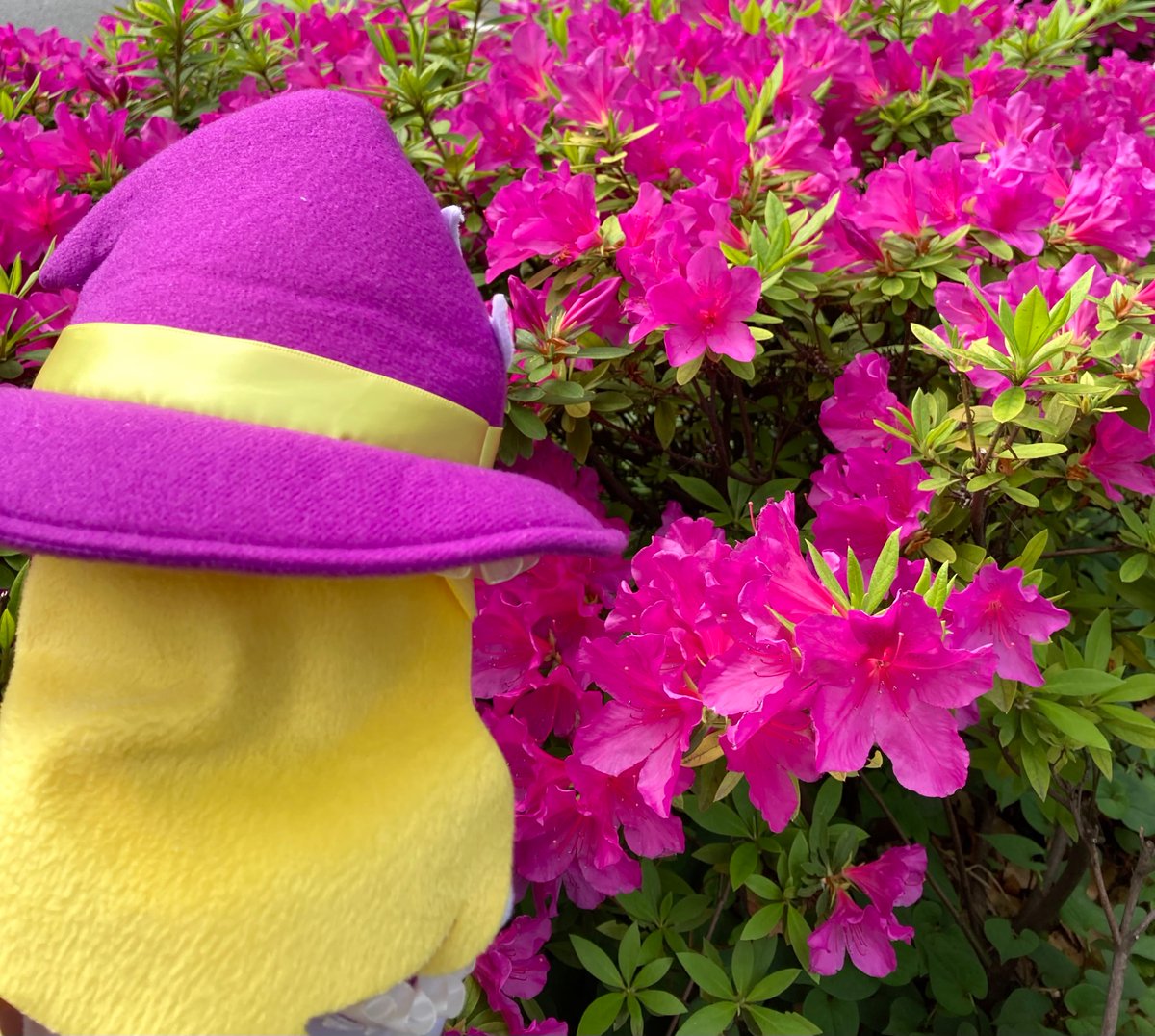 むるぬ tweet media