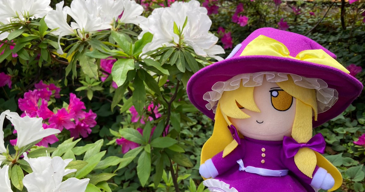 むるぬ tweet media