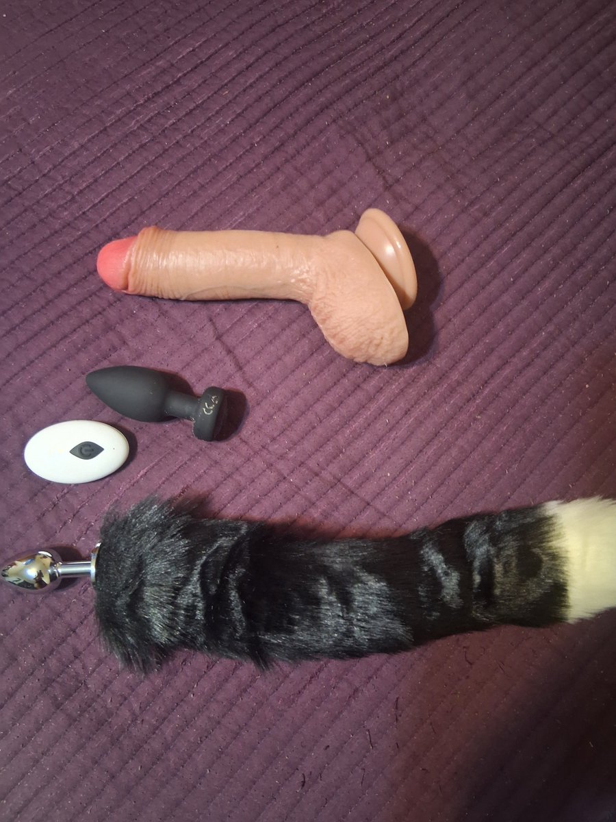 Juguetes nuevos para mi perrita!!!