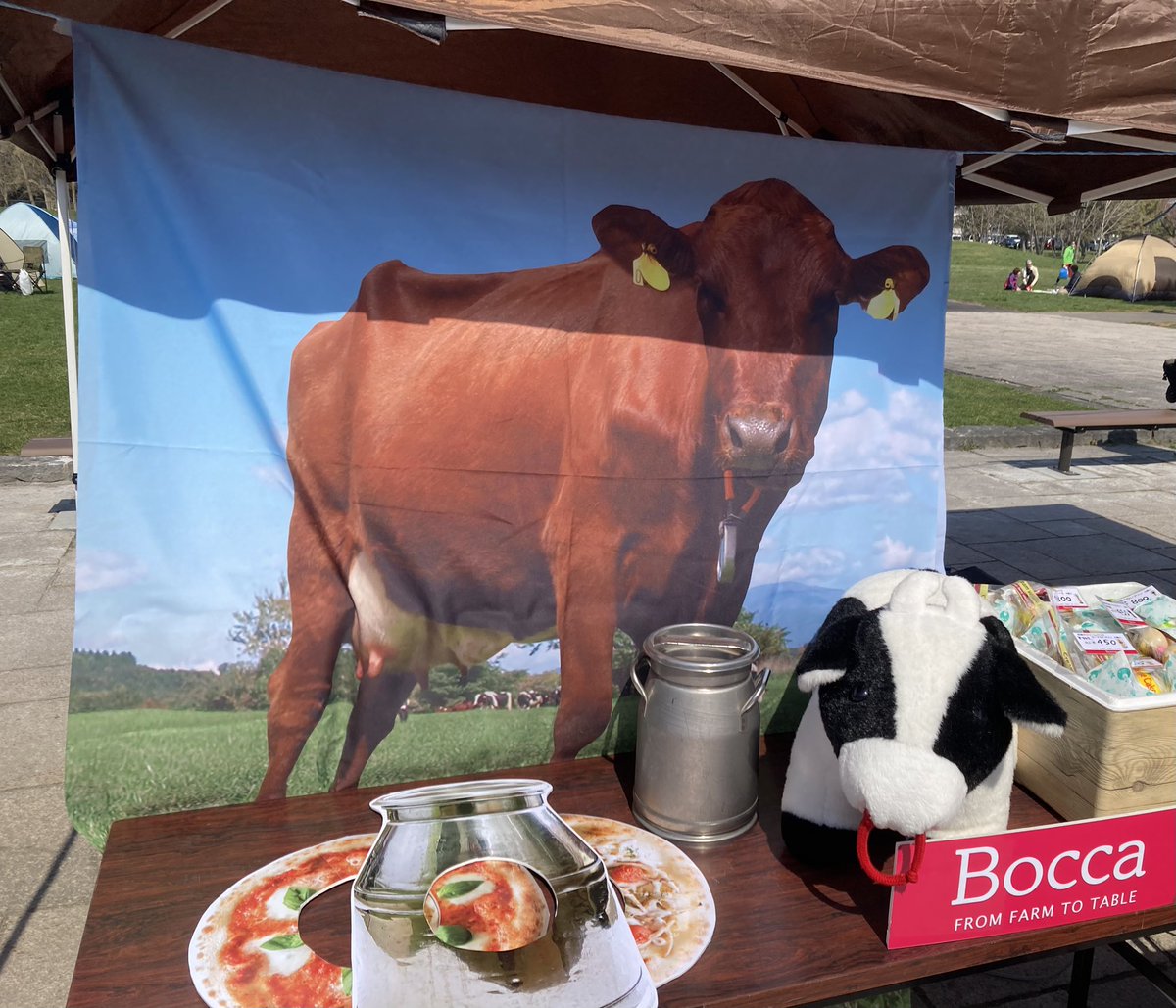 bocca_date's tweet photo. おはようございます🐮
今日は、「伊達ハーフマラソン」にお邪魔しています！
天気に恵まれた中、みなさんが怪我なくゴールできるよう応援してます📣
たくさんの商品もお持ちしてますので、走られる方も応援の方も、ぜひお立ち寄りください。
#牧家　#伊達ハーフマラソン https://t.co/qukZOYz0Pq