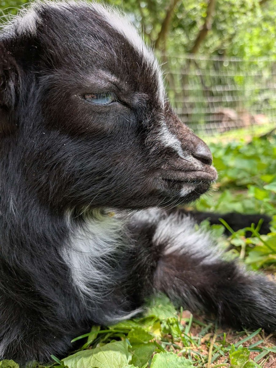 Billy 🚜 tweet media