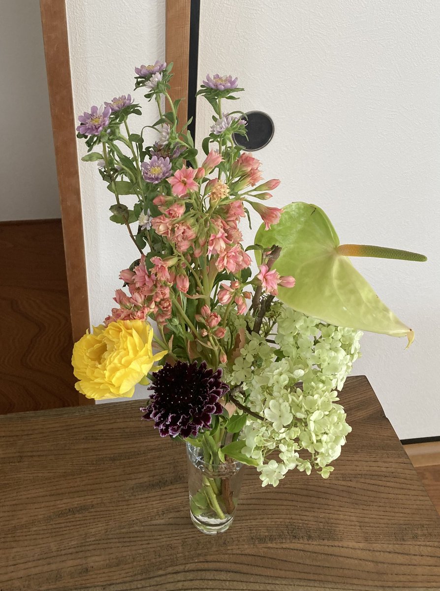 のぐりん tweet media