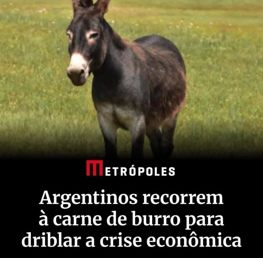 Autofagia no seu auge