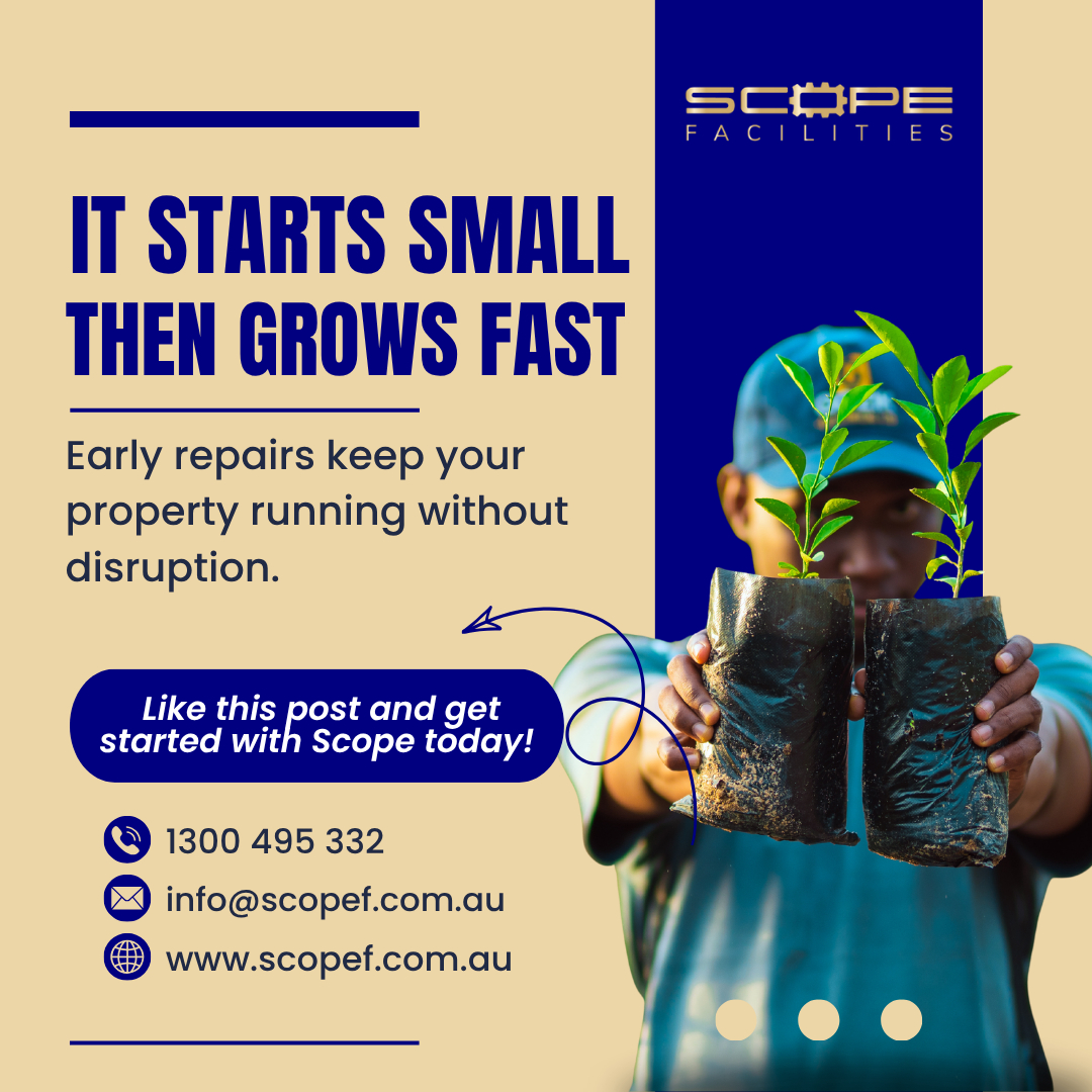 au_scope's tweet image. Most problems don’t start big they grow.

👉 Message us today! stay ahead of it.

📞 1300 495 332 | 💻 scopef.com.au | 📧 info@scopef.com.au

#preventivemaintenance #propertymaintenance #buildingmaintenance #facilitymanagement #repairservices #ScopeFacilities
