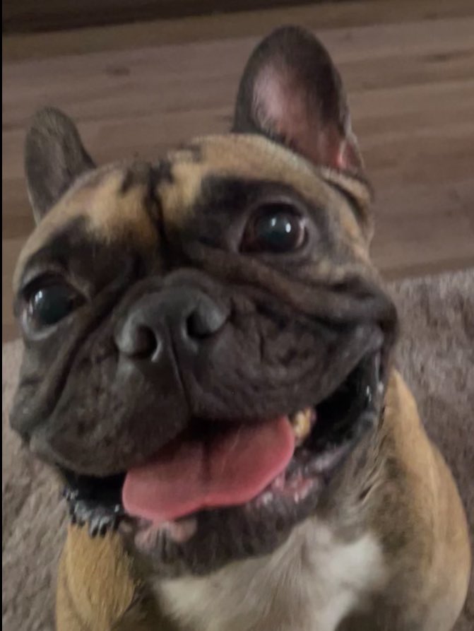 Bri 🦇 tweet media