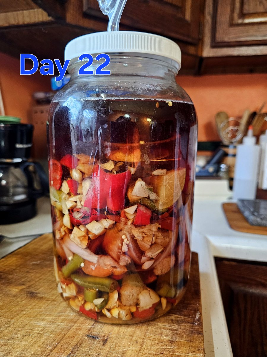 XRPcook's tweet image. #hotsauce #hot #sauce #homemade #spicy #diy #chili #pepper #garlic #raspberry #lime #waiting #ferment #day #twentytwo